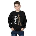 Miniatyrbild 2 av 3: Marvel Pojkar Avengers Infinity War Graffiti Groot Sweatshirt