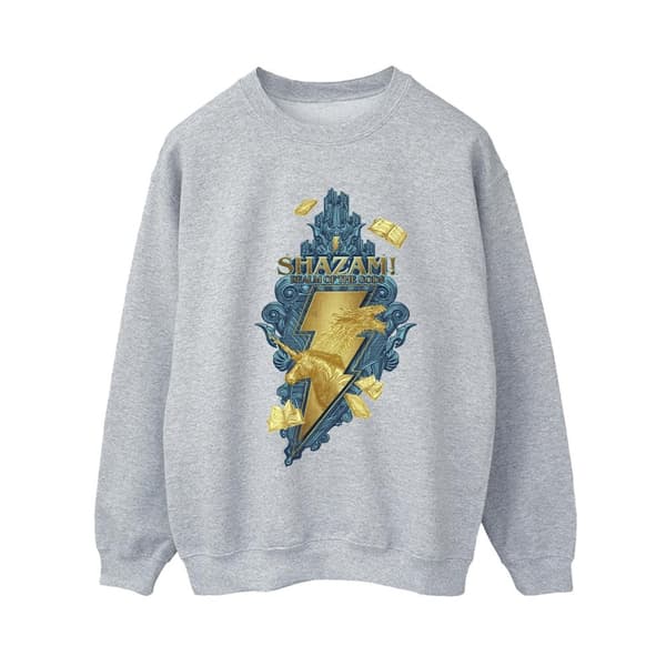 DC Comics Dam/Tjej Shazam Fury Of The Gods Golden Animal Bolt Sweatshirt Sports Grey XXL