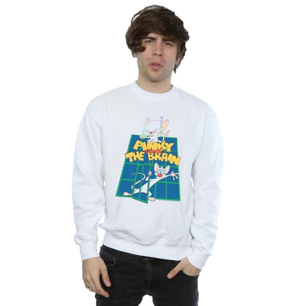 Animaniacs Mens Pinky And The Brain Laboratory Sweatshirt