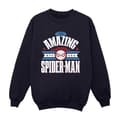 Miniatyrbillede 1 af 4: Marvel Boys Spider-Man NYC Amazing Sweatshirt