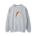 Miniatyrbild 1 av 4: DC Comics Herr The Flash Lightning Logo Sweatshirt