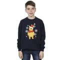 Miniatyrbild 3 av 4: Disney Winnie The Pooh Winter Wishes Sweatshirt - pojkar