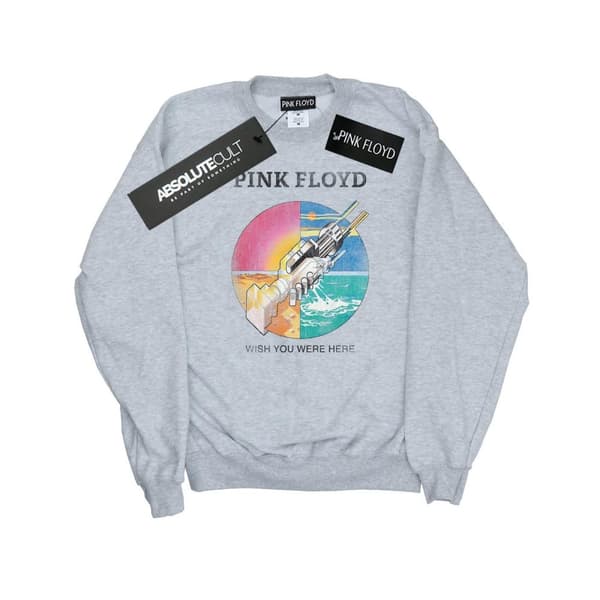 Pink Floyd Dam/kvinnor Wish You Were Here Prism Sweatshirt
