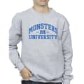 Pikkukuva 3 / 4: Disney Boys Monsters University Logo Sweatshirt