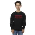 Pikkukuva 2 / 4: Netflix Boys Stranger Things Flames Sweatshirt