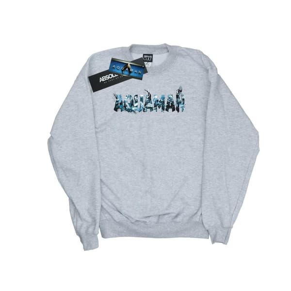 DC Comics Mens Aquaman Text Logo Sweatshirt