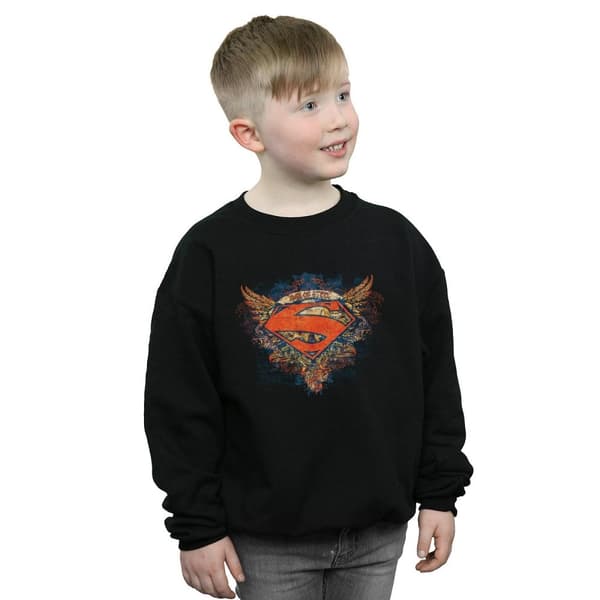 DC Comics Pojkar Superman Wings Shield Sweatshirt