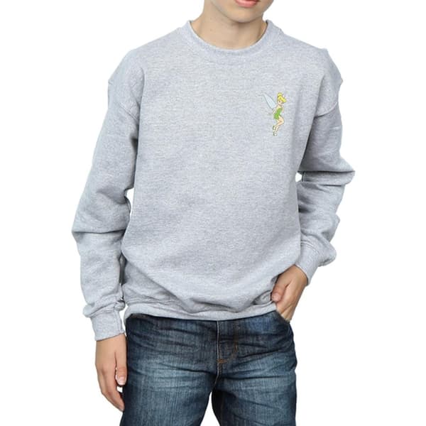 Disney Pojkar Tinkerbell Sweatshirt med bröst