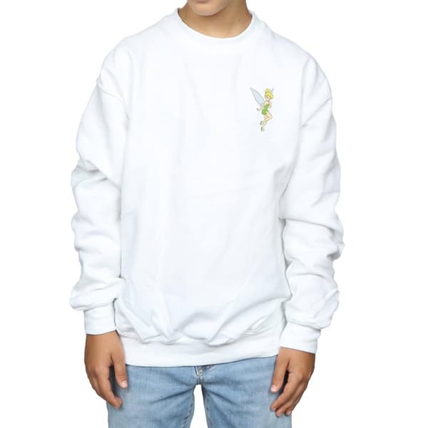Disney Pojkar Tinkerbell Sweatshirt med bröst