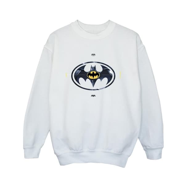 DC Comics Pojkar The Flash Batman Metal Logo Sweatshirt