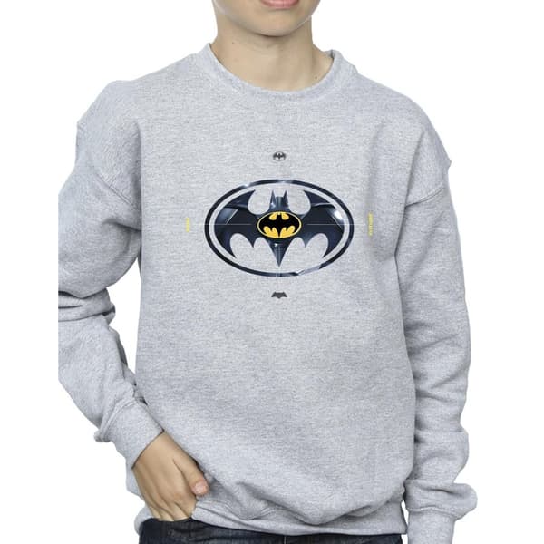 DC Comics Pojkar The Flash Batman Metal Logo Sweatshirt