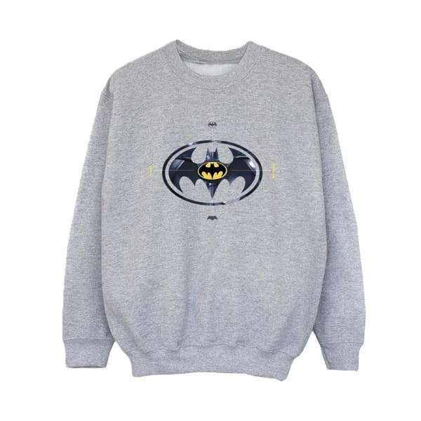 DC Comics Pojkar The Flash Batman Metal Logo Sweatshirt