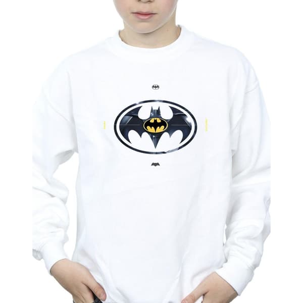 DC Comics Pojkar The Flash Batman Metal Logo Sweatshirt