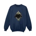 Miniatyrbillede 1 af 3: DC Comics Boys Black Adam Hovering Bolt Sweatshirt