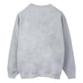Miniatyrbillede 2 af 3: Marvel Womens/Ladies Spidey And His Amazing Friends Faces Sweatshirt