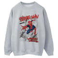 Miniatyrbillede 1 af 3: Marvel Womens/Ladies Spider-Man Sketch City Sweatshirt