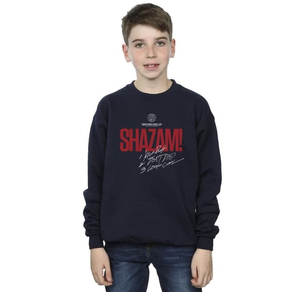 DC Comics Pojkar Shazam Fury Of The Gods Super Hero Checklist Sweatshirt