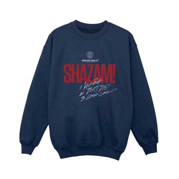 DC Comics Pojkar Shazam Fury Of The Gods Super Hero Checklist Sweatshirt