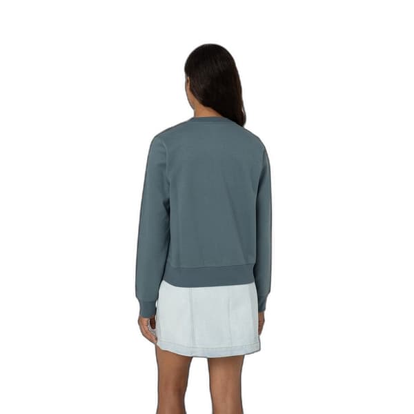 Dickies Womens/Ladies Wordmark Heavyweight Crew Neck Sweatshirt