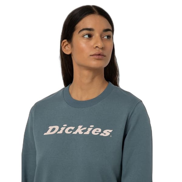 Dickies Womens/Ladies Wordmark Heavyweight Crew Neck Sweatshirt