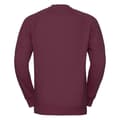 Miniatyrbilde 2 av 3: Russell Mens Spotshield Raglan Sweatshirt