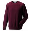 Miniatyrbilde 1 av 3: Russell Mens Spotshield Raglan Sweatshirt