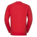 Miniatyrbilde 2 av 3: Russell Mens Spotshield Raglan Sweatshirt