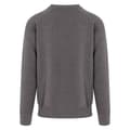 Miniatyrbild 2 av 2: Awdis Herr Graduate Sweatshirt med hög vikt