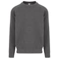 Miniatyrbild 1 av 2: Awdis Herr Graduate Sweatshirt med hög vikt