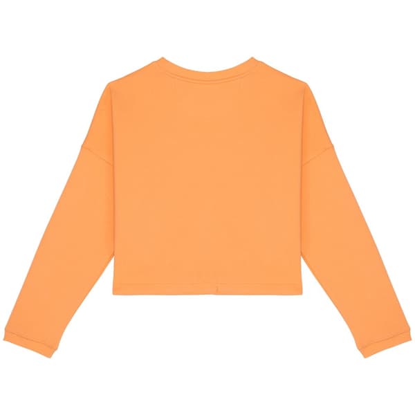 Native Spirit Womens/Ladies Oversized Crop Sweatshirt