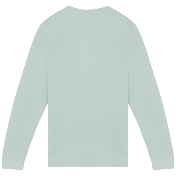 Native Spirit Unisex Adult French Terry Sweatshirt