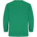 Miniatyrbild 2 av 3: SOLS Columbia-sweatshirt för barn/unga