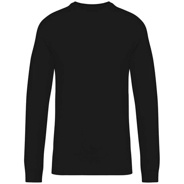 Native Spirit Unisex Adult Raglan Sweatshirt