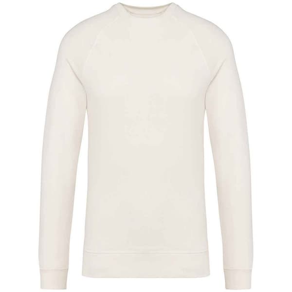 Native Spirit Unisex Adult Raglan Sweatshirt
