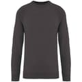 Miniatyrbilde 1 av 3: Native Spirit Unisex Adult Raglan Sweatshirt
