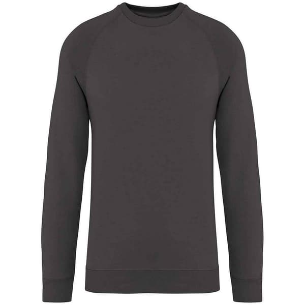 Native Spirit Unisex Adult Raglan Sweatshirt