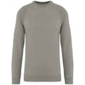 Miniatyrbilde 1 av 3: Native Spirit Unisex Adult Raglan Sweatshirt