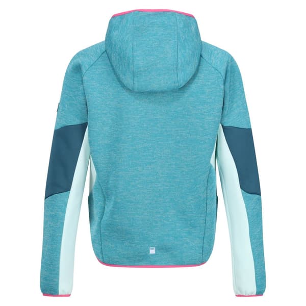 Regatta Childrens/Kids Dissolver VIII Full Zip Fleece Jacket