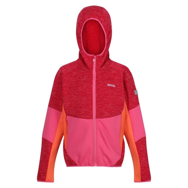 Regatta Childrens/Kids Dissolver VIII Full Zip Fleece Jacket