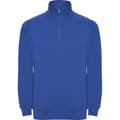 Miniatyrbillede 1 af 4: Roly Mens Aneto Quarter Zip Sweatshirt