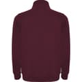Miniatyrbild 2 av 4: Roly Aneto Quarter Zip Sweatshirt - Herrar