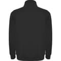 Miniatyrbillede 2 af 4: Roly Mens Aneto Quarter Zip Sweatshirt