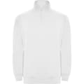 Miniatyrbild 1 av 4: Roly Aneto Quarter Zip Sweatshirt - Herrar