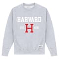 Miniatyrbilde 1 av 3: Harvard University Unisex Adult Est 1636 Sweatshirt