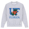 Miniatyrbild 1 av 2: University Of Florida Unisex UF Sweatshirt för vuxna