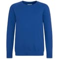 Miniatyrbild 1 av 2: Awdis Barn/Kids Academy Raglan Sweatshirt