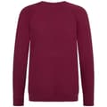Pikkukuva 2 / 2: Awdis Childrens/Kids Academy Raglan Sweatshirt