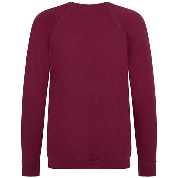 Awdis Childrens/Kids Academy Raglan Sweatshirt