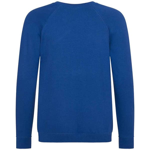 Awdis Barn/Kids Academy Raglan Sweatshirt