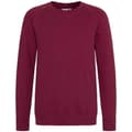 Miniatyrbild 1 av 2: Awdis Barn/Kids Academy Raglan Sweatshirt